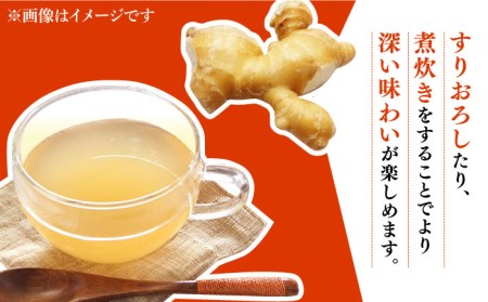 【2026年1月末〜順次発送】囲い生姜 約 6kg / ショウガ 南島原市 / ふくはちファーム/福島農園 [SBS014]