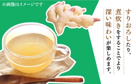 【2026年8月～発送】新生姜 約4kg / ショウガ しょうが 生姜 / 南島原市 / ふくはちファーム/福島農園 [SBS018]