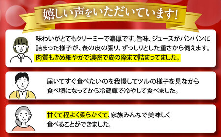 【2025年3月中旬〜発送】【平成新山メロンPREMIUM（とみちゃん厳選）】パパイヤメロン 3玉 / メロン めろん 青肉 糖度 果物 くだもの フルーツ ふるーつ 旬 高級 ギフト / 南島原市 / うえだメロン園 [SAD001]