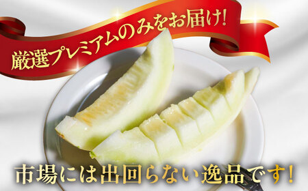 【2026年3月中旬?発送】【平成新山メロンPREMIUM（とみちゃん厳選）】しらかばメロン 5玉?8玉 約5kg / メロン めろん 青肉 糖度 果物 くだもの フルーツ ふるーつ 旬 高級 ギフト / 南島原市 / うえだメロン園 [SAD002]