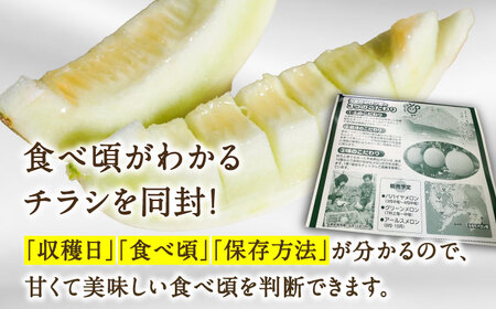 【2026年3月中旬?発送】【平成新山メロンPREMIUM（とみちゃん厳選）】しらかばメロン 5玉?8玉 約5kg / メロン めろん 青肉 糖度 果物 くだもの フルーツ ふるーつ 旬 高級 ギフト / 南島原市 / うえだメロン園 [SAD002]