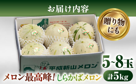【2026年3月中旬?発送】【平成新山メロンPREMIUM（とみちゃん厳選）】しらかばメロン 5玉?8玉 約5kg / メロン めろん 青肉 糖度 果物 くだもの フルーツ ふるーつ 旬 高級 ギフト / 南島原市 / うえだメロン園 [SAD002]