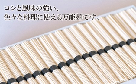 手延べうどん 3kg（50g×60束）/ うどん ウドン 饂飩  麺 めん 乾麺 / 南島原市 / 池田製麺工房 [SDA008]