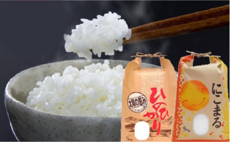 長崎県産 米 食べ比べ 各5kg 麺 セット / そうめん まぜ麺 米 セット 南島原市 / ふるせ[SAQ036]
