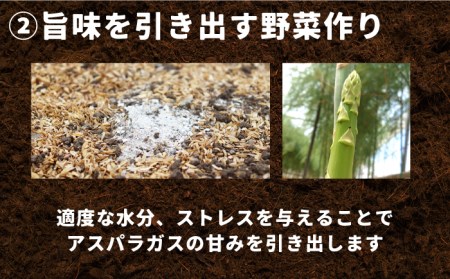 【生で食べられる】スイート アスパラ L〜3L 約 1kg / アスパラ あすぱら アスパラガス 3L 増田農園 アスパラガス 甘い / 南島原市 / 贅沢宝庫 [SDZ015]