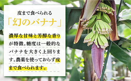 【3回定期便】【皮ごと食べられる！】なかなかバナナ  5本〈7月?9月は発送停止〉 / バナナ フルーツ 果物 定期便 フルーツ定期便 / 南島原市 / ミナサポ [SCW035]