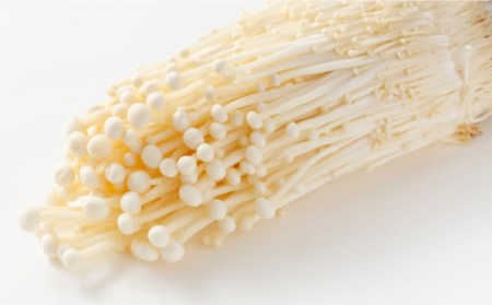 【12回定期便】きのこ 定期便 4品目 [SCZ015]