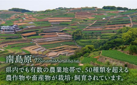 【12回定期便】きのこ 定期便 4品目 [SCZ015]