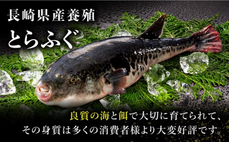 長崎県産 とらふぐ 刺身 3人前・アラ・皮・ヒレ・紅葉おろし・ポン酢付 / ふぐ ふぐ刺し南島原市 / 大和庵[SCJ010]