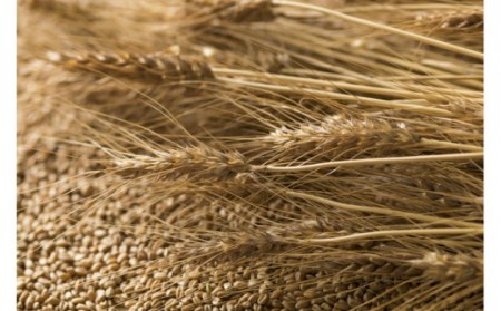 島原 手延べ 素麺  水晶の光  1kg（50g×20束） / そうめん  南島原市 / 本村製麺工場 [SCP005]