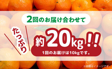 【2024年12月〜発送】【2回定期便】高糖度 温州みかん（約10kg×2回） / みかん 定期便 ミカン 蜜柑 長崎県産みかん 糖度 果物 くだもの 果物定期便 フルーツ ふるーつ フルーツ定期便 旬 家庭用 10kg / 南島原市 / 南島原果物屋 [SCV002] 