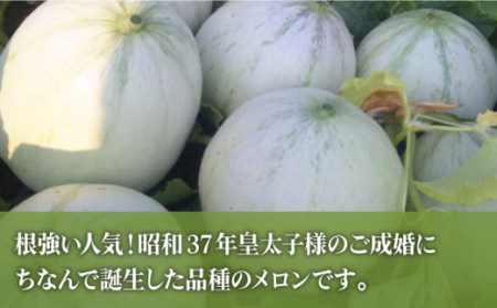 【2025年4月下旬?発送】【3回定期便】フルーツ定期便 旬のフルーツをセット / プリンスメロン タカミメロン 温州みかん（3品種各1回）/ メロン みかん フルーツ 詰め合わせ 南島原市 / 南島原果物屋 [SCV003]