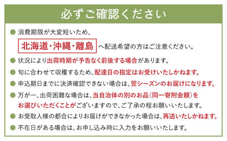 2024年5月〜発送】【さわやかな味! 】タカミメロン 2玉 (約 2kg