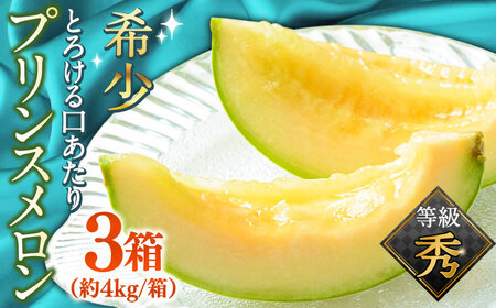 【2026年4月下旬〜発送】【根強い人気！】 プリンスメロン 3箱 セット（1箱 7～13玉）  / メロン 南島原市 / 南島原果物屋 [SCV007]