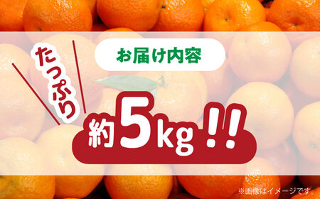 【2025年11月下旬〜発送】【高糖度】 温州みかん 約5kg（傷もの） / みかん 訳あり ミカン 蜜柑 長崎県産みかん 糖度 果物 くだもの フルーツ ふるーつ 旬 家庭用 5kg / 南島原市 / 南島原果物屋 [SCV014]