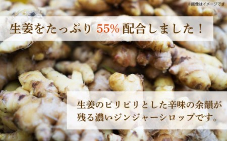 【生姜たっぷりを55％配合】ジンジャーシロップ 300g×3本 / 生姜 ジンジャー 調味料 シロップ スパイス ジンジャーエール アレンジメニュー 健康 腸活 / 南島原市 / NPO法人NagasakiConnection [SCI004]