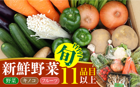 新鮮 野菜 キノコ 果物 11品目 詰め合わせ / 野菜 やさい きのこ キノコ 詰め合わせ セット / 吉岡青果 / 南島原市 [SCZ004]