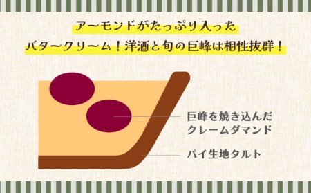 【2026年8月中旬〜発送】【予約制のタルト専門店】焼き葡萄のタルト / ぶどう タルト たると ケーキ タルトケーキ スイーツ デザート / 南島原市 / アトリエジジ [SAA001]