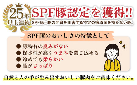 【12回定期便】SPF豚 やっちゃおいしか芳寿豚バラエティセット 計3000g / 豚肉 定期便 ほうじゅとん SPF豚 spfポーク 小分け バラ しゃぶしゃぶ / 南島原市 / 芳寿牧場 [SEI022] 