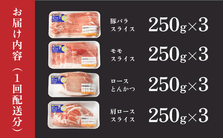 【12回定期便】SPF豚 やっちゃおいしか芳寿豚バラエティセット 計3000g / 豚肉 定期便 ほうじゅとん SPF豚 spfポーク 小分け バラ しゃぶしゃぶ / 南島原市 / 芳寿牧場 [SEI022] 