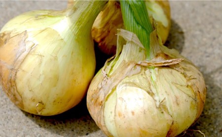 【2026年3月中旬-発送】塩玉ねぎ 約5kg（小玉） [SCB054] 玉ねぎ