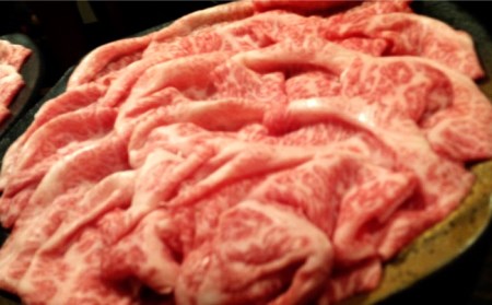 3回定期便】【最高峰】長崎和牛 霜降り もも肉 400g サガリ肉 300g