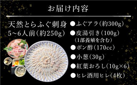 【2025年3月下旬〜発送】南島原産 天然とらふぐ刺身 5～6人前 / ふぐ フグ トラフグ ふぐアラ 魚 ヒレ酒 / 南島原市 / 大和庵 [SCJ019]