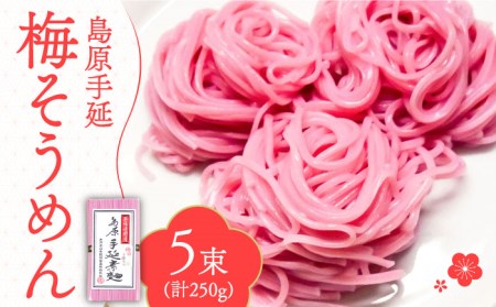 島原 手延 梅素麺 250g  / そうめん 素麺 南島原市 / 島原手延素麺組合連絡協議会 [SAN006]