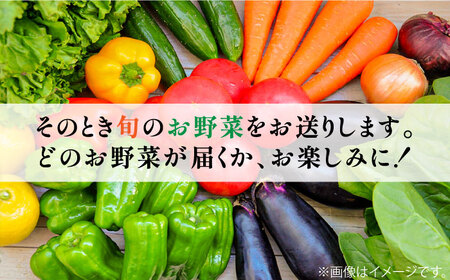 【12回定期便】地元農家さんが収穫した旬のお野菜 10種詰め合わせ / 野菜 旬 新鮮 採れたて 季節野菜 旬野菜 農家直送 野菜定期便 定期便 / 南島原市 / ミナサポ  [SCW047] 