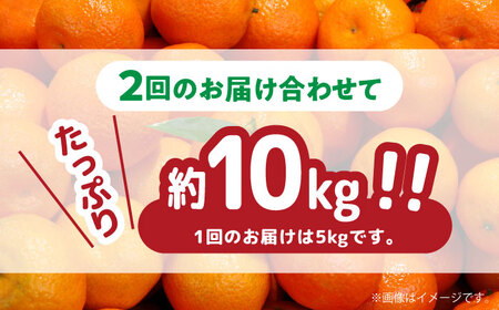 【2024年12月〜発送】【大満足！ 2回 定期便 】温州みかん 約5kg / みかん 定期便 ミカン 蜜柑 長崎県産みかん 糖度 果物 くだもの 果物定期便 フルーツ ふるーつ フルーツ定期便 旬 家庭用 5kg / 南島原市 / 南島原果物屋 [SCV017]