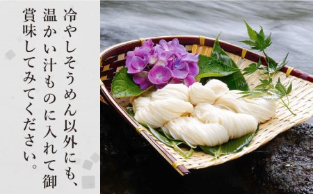 【定期便 年4回】手延べ そうめん 1.5kg （50g×30束） / そうめん 島原そうめん 手延べ 麺 素麺 / 南島原市 / 池田製麺工房 [SDA055]