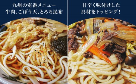 手延べうどん 1.5kg（50g×30束）/ うどん ウドン 饂飩  麺 めん 乾麺 / 南島原市 / 池田製麺工房 [SDA058]