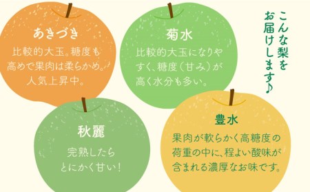 【2025年8月下旬〜発送】梨 2種以上 食べ比べ セット 5kg / 豊水 秋麗 菊水 あきづき / なし フルーツ 果物  / 南島原市 / 松尾観光梨園[SCX001]