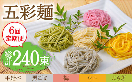 6回定期便】五彩麺 セット 40束 そうめん 素麺 黒ごま 梅 うに よもぎ 麺 乾麺 食べ比べ 詰め合わせ カラフル 南島原市  のうち製麺[SAF028] 長崎県南島原市 ふるさと納税サイト「ふるなび」