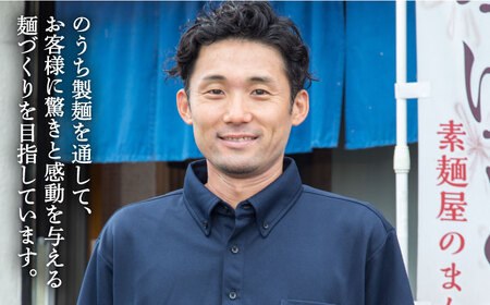 【3回定期便】五彩麺 セット 19束 / そうめん 素麺 黒ごま 梅 うに よもぎ / 麺 乾麺 食べ比べ 詰め合わせ カラフル / 南島原市 / のうち製麺 [SAF030]