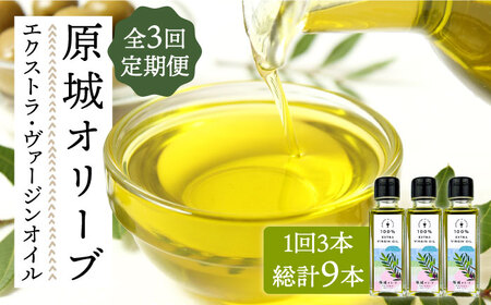 【3回定期便】 原城 オリーブ エクストラ・ヴァージンオイル  100ml 3本 / オリーブオイル オイル 油 調味料 / 南島原市 / ミナサポ [SCW057]