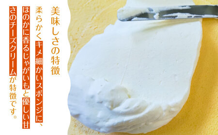 カッツァ チーズ ＆ チョコ 12個入 / ケーキ スポンジケーキ