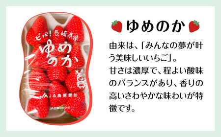 【2027年1月-発送】いちご2種類 食べ比べ 約250g×4P [SAC006] いちご