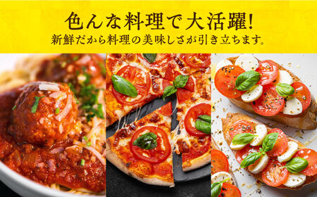 【贈答】エキストラバージンオリーブオイル 120g ★2024年10月収穫分★ 長与町/喜虎園オリーブ園  [ECJ001] 国産 オリーブオイル おりーぶおいる オリーブ油 エキストラバージン えきすとらばーじんおりーぶおいる 新鮮 手摘み 料理 サラダ 贈答 ギフト