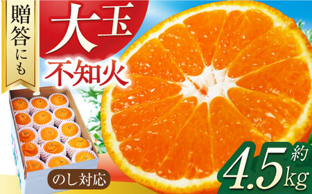 【贈答】【大玉】不知火 約4.5kg（13-15個）ー2025年3月より発送ー 長与町/彩咲果樹園[ECM001] 長崎県産 長与町 デコポン でこぽん 不知火 柑橘 フルーツ デコポン でこぽん 不知火 デコポン でこぽん 不知火 デコポン でこぽん 不知火 デコポン でこぽん 不知火 デコポン でこぽん 不知火 デコポン でこぽん 不知火 デコポン でこぽん 不知火 デコポン でこぽん 不知火 デコポン でこぽん 不知火 デコポン でこぽん 不知火 デコポン でこぽん 不知火 デコポン でこぽん 不知火 デコポン でこぽん 不知火 デコポン でこぽん 不知火 デコポン でこぽん 不知火 デコポン でこぽん 不知火  デコポン でこぽん 不知火  デコポン でこぽん 不知火  デコポン でこぽん 不知火  デコポン でこぽん 不知火 