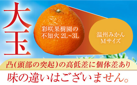 【大玉不知火】不知火約4.5kg[ECM001]先行予約