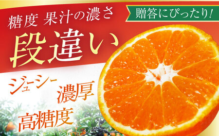 【大玉不知火】不知火約4.5kg[ECM001]先行予約