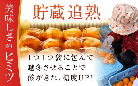 【大玉不知火】不知火約4.5kg[ECM001]先行予約