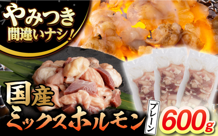 ホルモン200g×3袋[EAD094]  国産 長崎和牛 和牛 ホルモン レバー ホルモンミックス 牛肉 ほるもん 冷凍 小分け 真空パック 味付き 味付け 焼肉 焼き肉 おつまみ