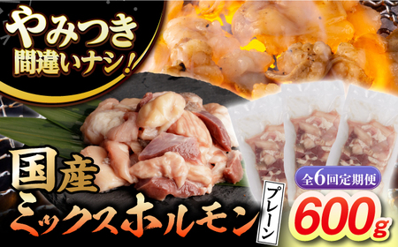 【6回定期便】【長崎和牛】ミックスホルモン（プレーン） 毎月200g×3袋 計3.6kg 長与町/なかみ屋本舗[EAD096]  国産 長崎和牛 和牛 ホルモン レバー ホルモンミックス 牛肉 ほるもん 冷凍 小分け 真空パック 味付き 味付け 焼肉 焼き肉 おつまみ 定期 定期便