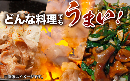 【6回定期便】【長崎和牛】ミックスホルモン（プレーン） 毎月200g×3袋 計3.6kg 長与町/なかみ屋本舗[EAD096]  国産 長崎和牛 和牛 ホルモン レバー ホルモンミックス 牛肉 ほるもん 冷凍 小分け 真空パック 味付き 味付け 焼肉 焼き肉 おつまみ 定期 定期便