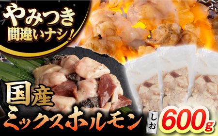 ホルモン塩[EAD098]  国産 長崎和牛 和牛 ホルモン レバー ホルモンミックス 牛肉 ほるもん 冷凍 小分け 真空パック 塩 味付き 味付け 焼肉 焼き肉 おつまみ