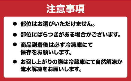 ホルモン塩[EAD098]  国産 長崎和牛 和牛 ホルモン レバー ホルモンミックス 牛肉 ほるもん 冷凍 小分け 真空パック 塩 味付き 味付け 焼肉 焼き肉 おつまみ