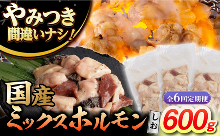 【6回定期便】【長崎和牛】ミックスホルモン（塩） 毎月200g×3袋 計3.6kg 長与町/なかみ屋本舗[EAD100]  国産 長崎和牛 和牛 ホルモン レバー ホルモンミックス 牛肉 ほるもん 冷凍 小分け 真空パック 塩 味付き 味付け 焼肉 焼き肉 おつまみ 定期 定期便