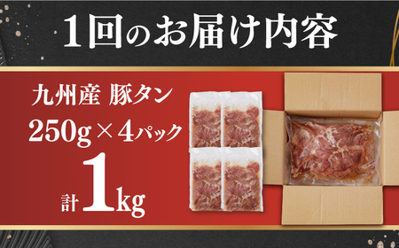 【12回定期便】【塩だれ】九州産 豚タン 毎月250g×4パック （計12kg）長与町/岩永ホルモン [EAX169] 国産 スライス 焼肉